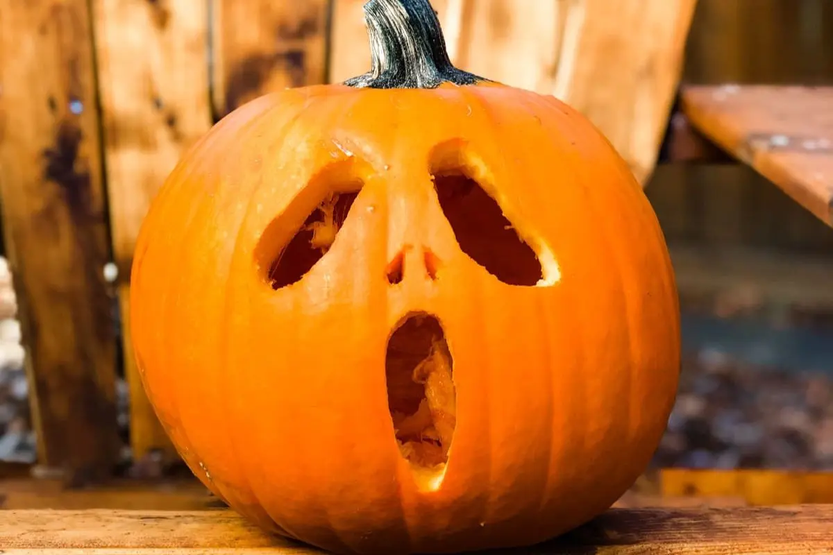 pumpkin carving ideas ghost face