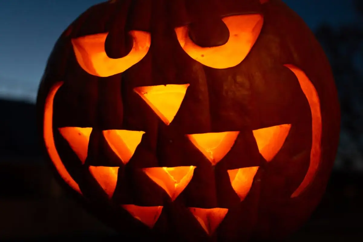 owl face in a pumpkin