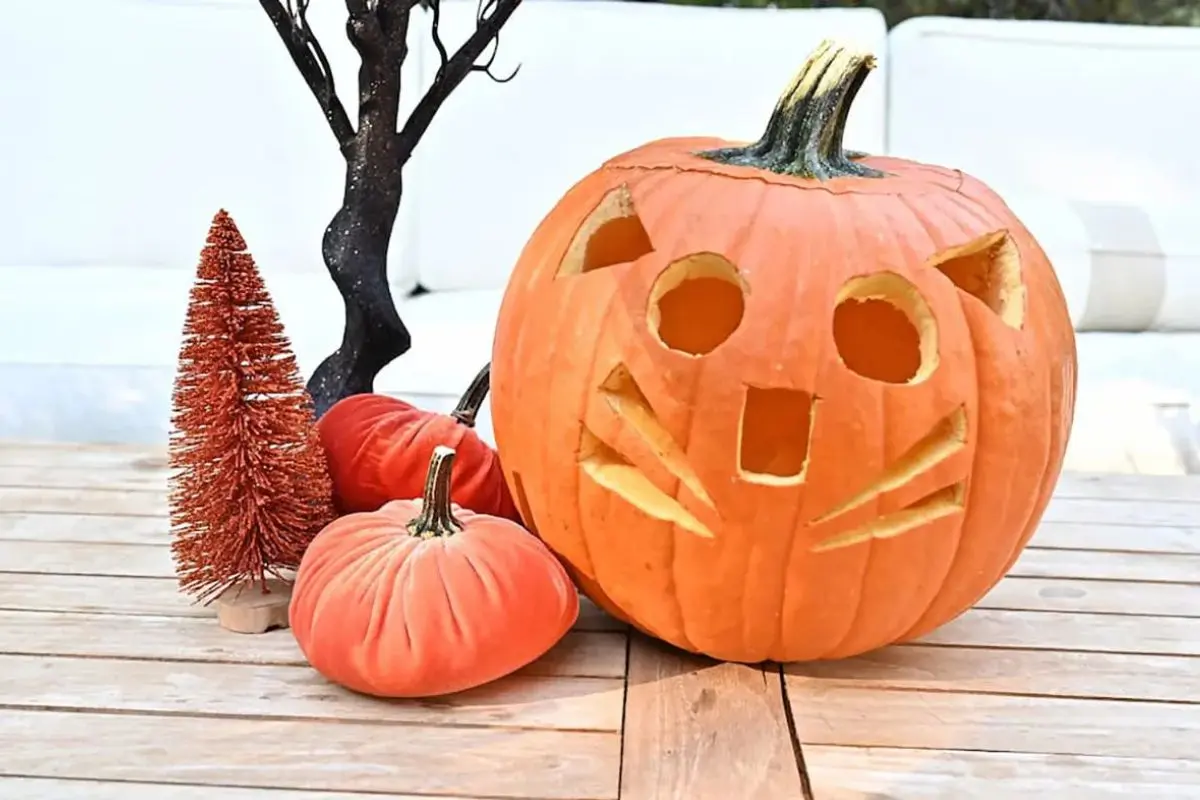 pumpkin face carving ideas, cat
