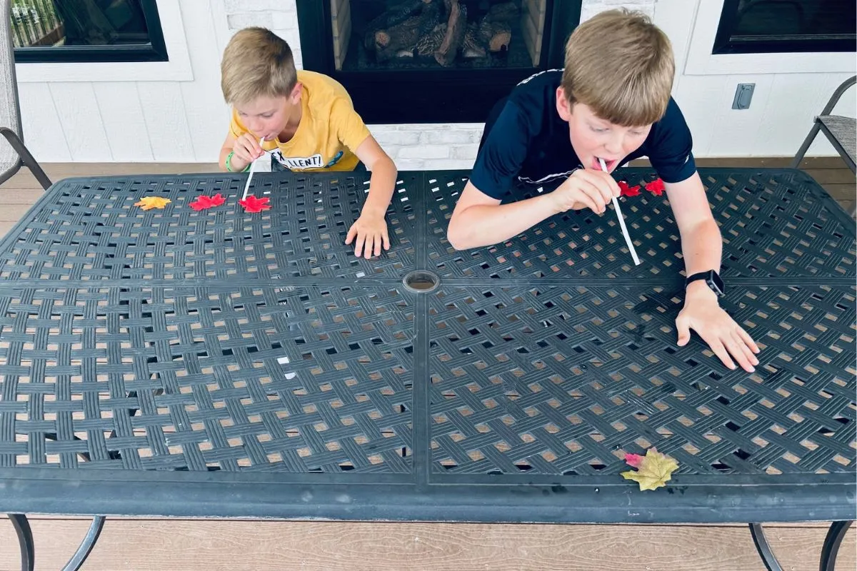 boys blowing leaves across the table with straws
