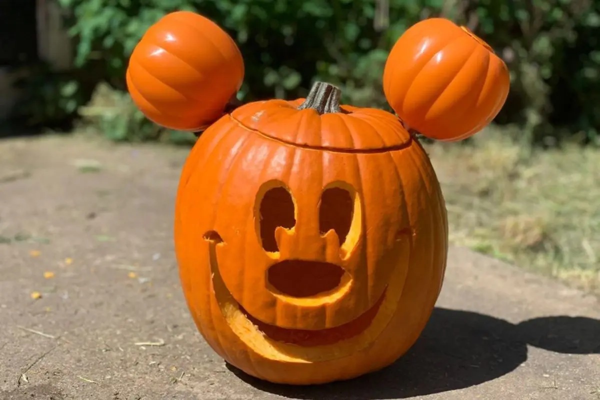 cute unique Mickey Mouse