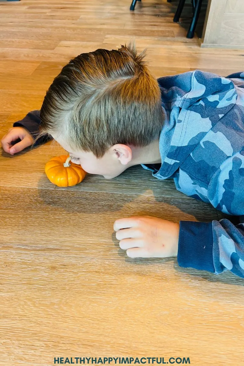 mini pumpkin push with nose game