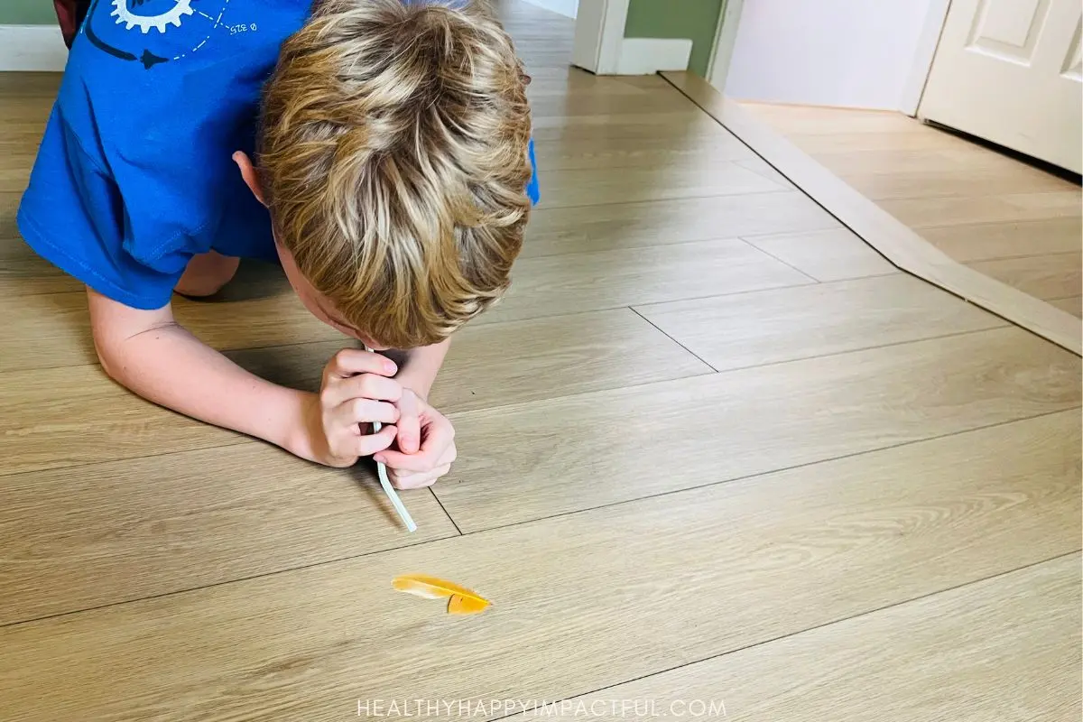 Thanksgiving minute to win it games