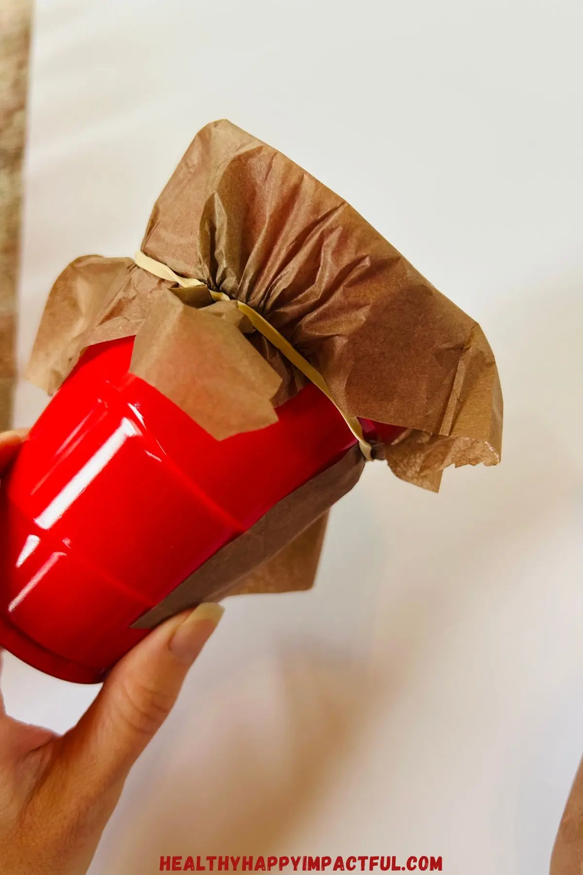 solo cup wrapped in tissue paper